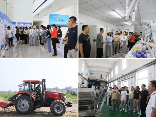 內(nèi)蒙古農(nóng)大AI創(chuàng)新教學與科研能力提升培訓班在涿州教學實驗場圓滿收官